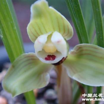 软梅最新爆料,揭秘娱乐圈最新动态与幕后故事 第1张 软梅最新爆料,揭秘娱乐圈最新动态与幕后故事 第1张