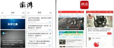 新闻爆料设计案例分析,揭秘事件真相与媒体责任  第1张